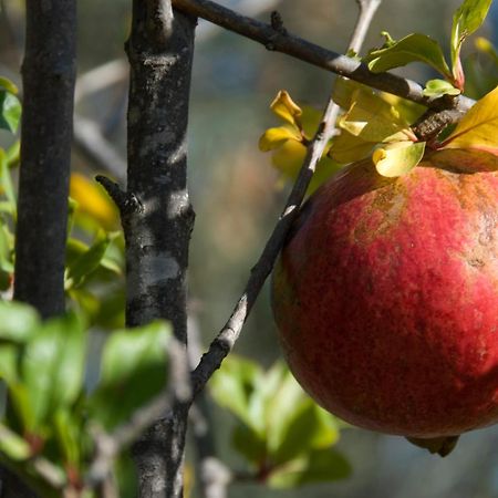 רודאלקילאר El Jardin De Los Suenos מראה חיצוני תמונה
