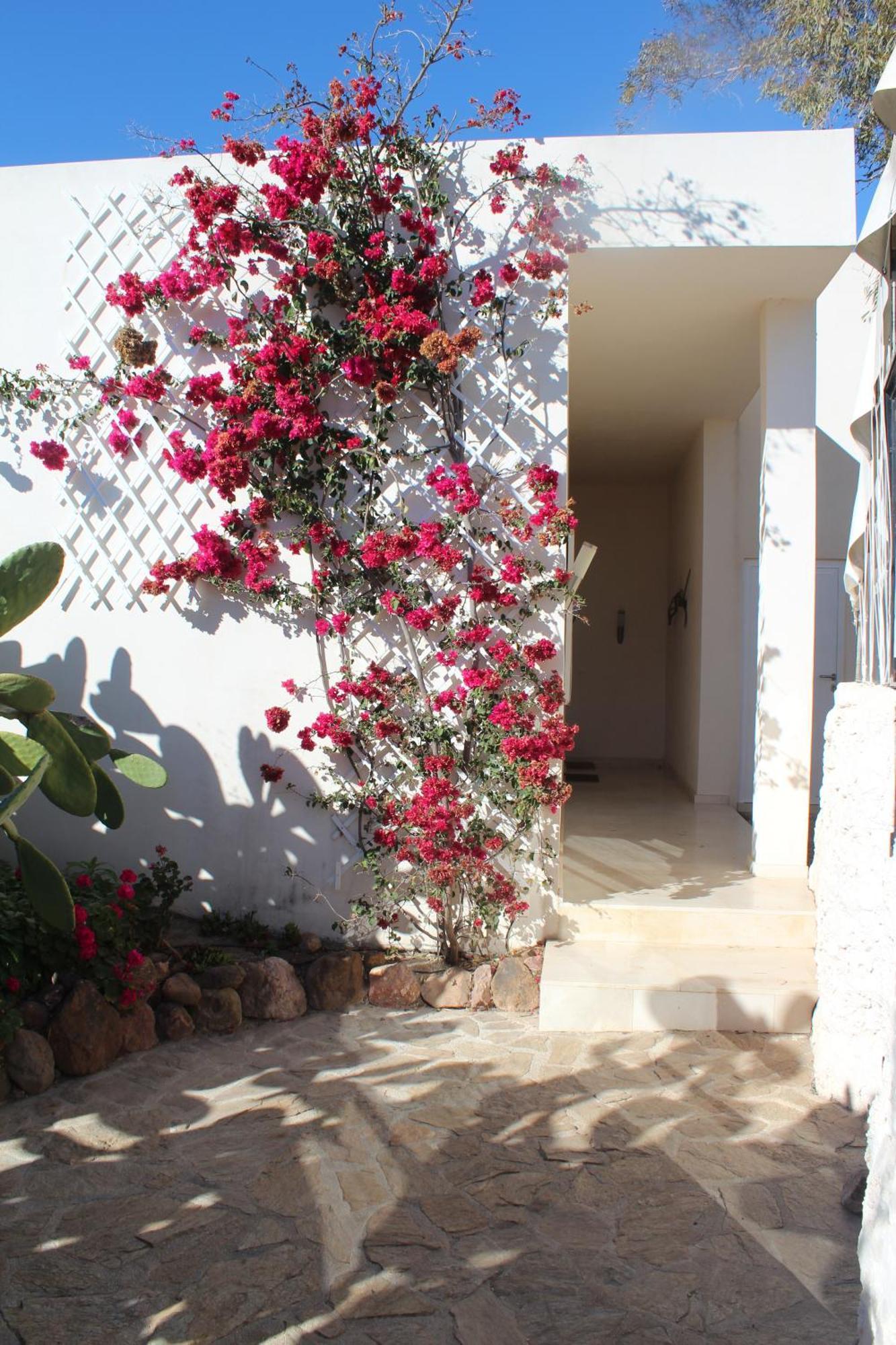 רודאלקילאר El Jardin De Los Suenos מראה חיצוני תמונה
