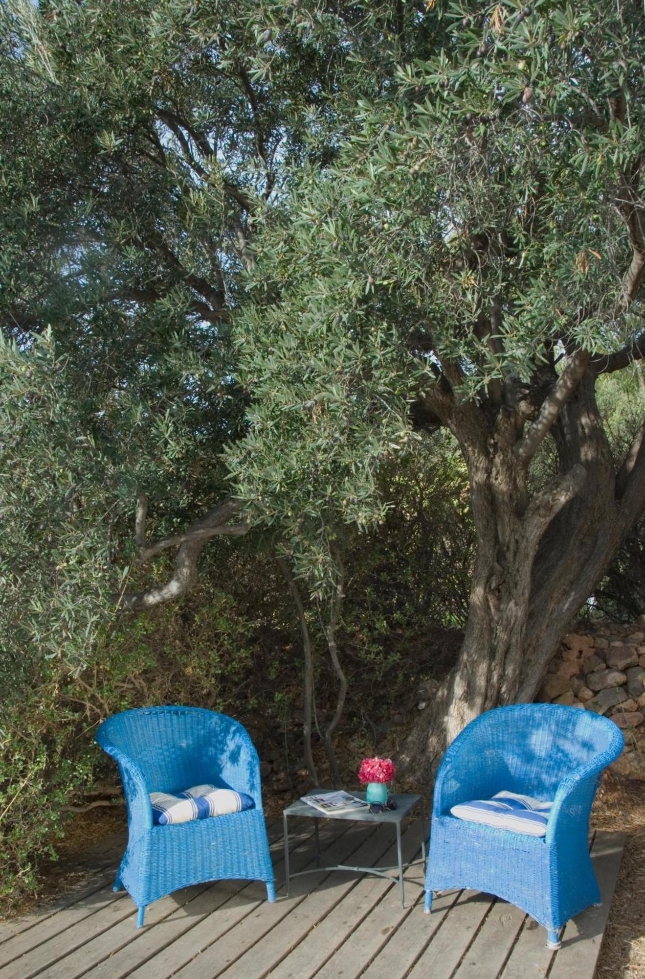 רודאלקילאר El Jardin De Los Suenos מראה חיצוני תמונה
