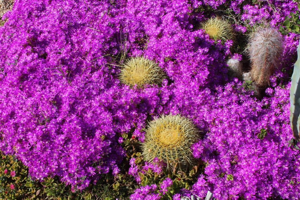 רודאלקילאר El Jardin De Los Suenos מראה חיצוני תמונה